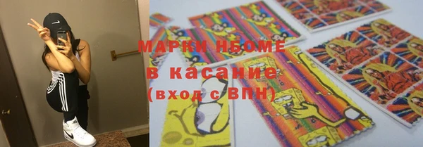 шишки Заводоуковск