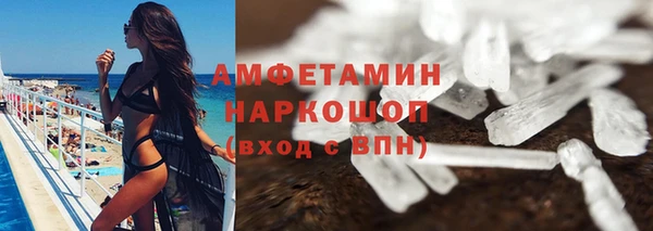 шишки Заводоуковск