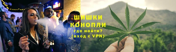 шишки Заводоуковск