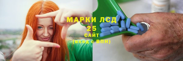 шишки Заводоуковск