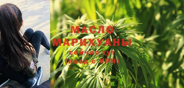 шишки Заводоуковск