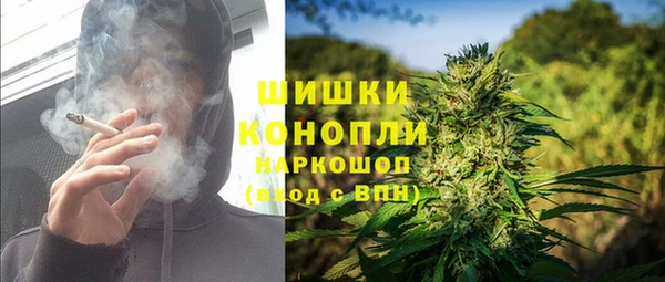 шишки Заводоуковск