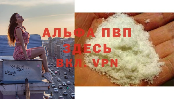 шишки Заводоуковск