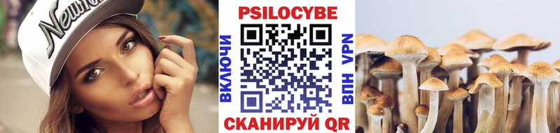 это официальный сайт  Зеленоградск  Галлюциногенные грибы Psilocybine cubensis  наркота 