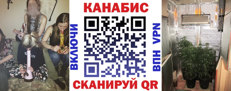 Шишки марихуана марихуана  Зеленоградск 